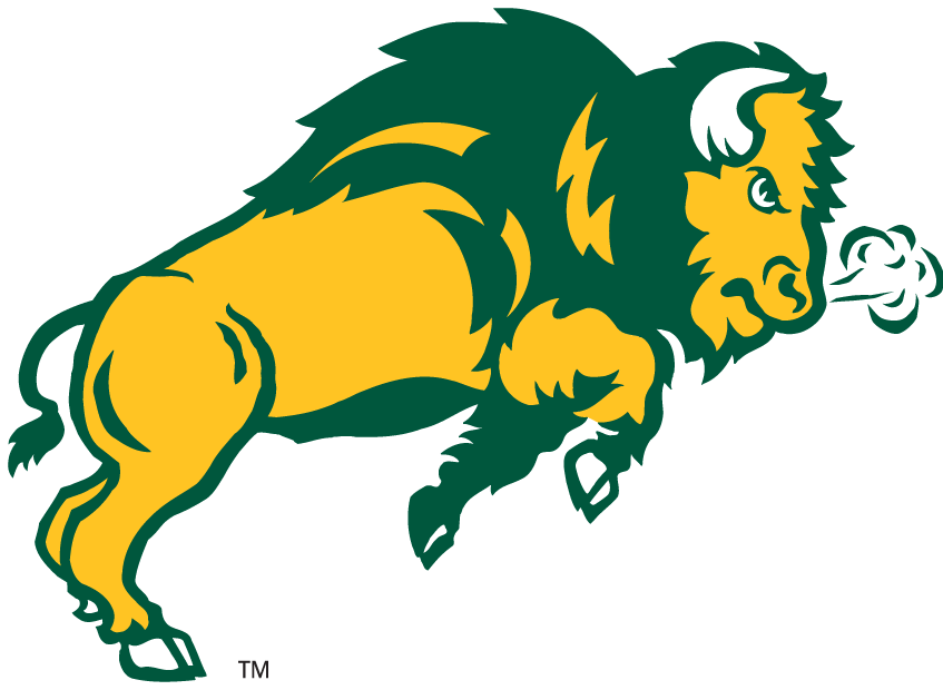 North Dakota State Bison Iron-On / Sew-On Patch – NCAA Logo – 5cm X 10cm